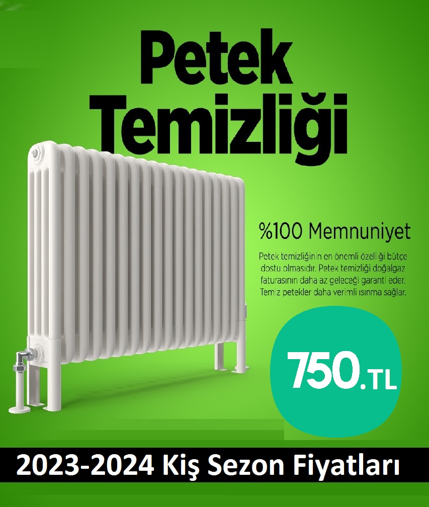 Maltepe Petek Temizliği Tek Fiyat Teklifi Al